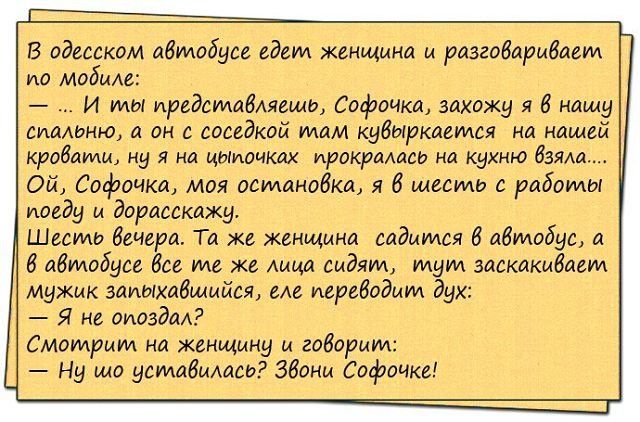 Анекдоты дня