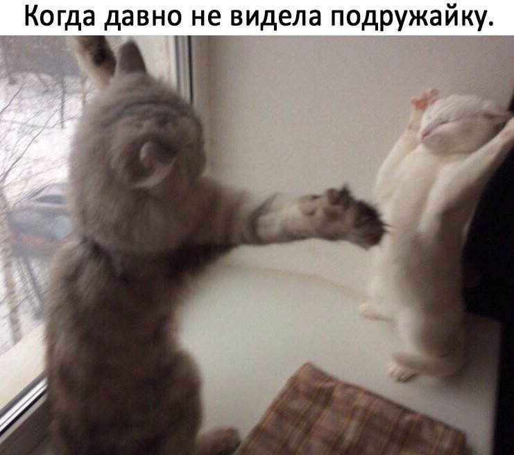 Очень смешно!