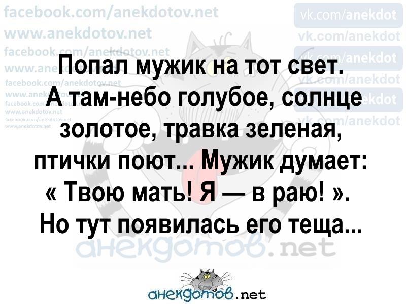 Хорошие анекдоты