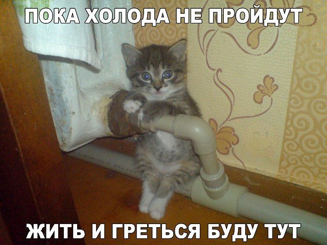 Анекдоты дня