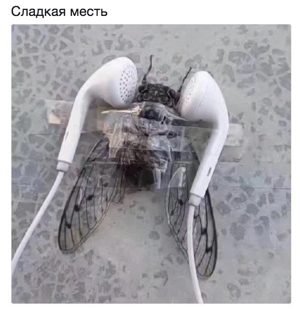 Отличные анекдоты