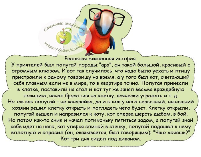 Смешные анекдоты