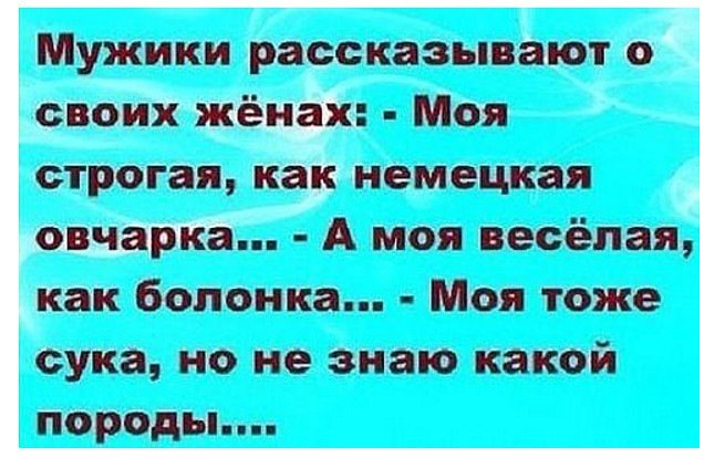 Отличные анекдоты