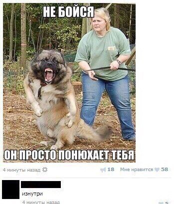Анекдоты для хорошего настроения