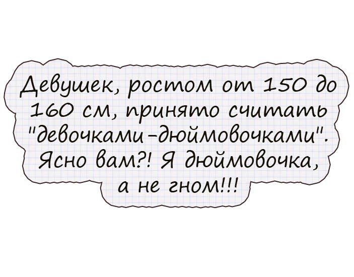Анекдоты дня