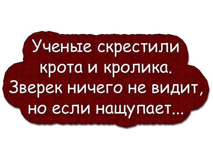 Убойный юмор