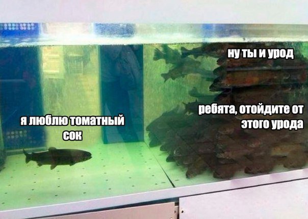 Хорошие анекдоты