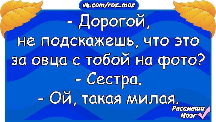 Анекдоты дня