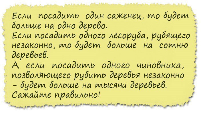 Анекдоты дня