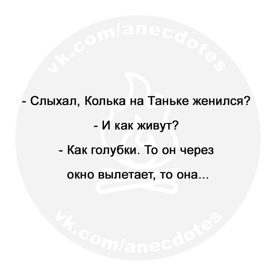 Анекдоты дня