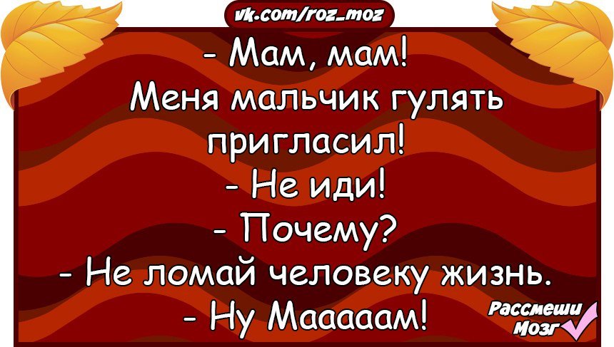 Анекдоты дня