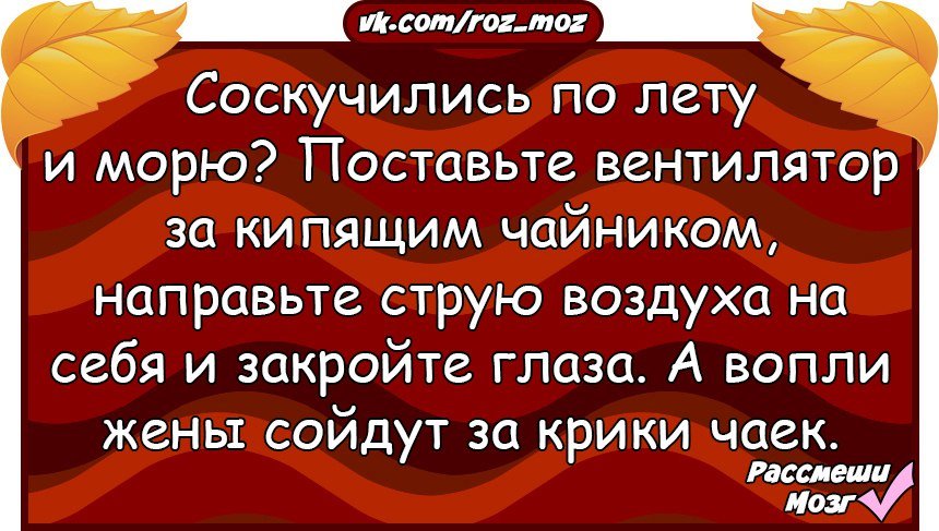Анекдоты дня