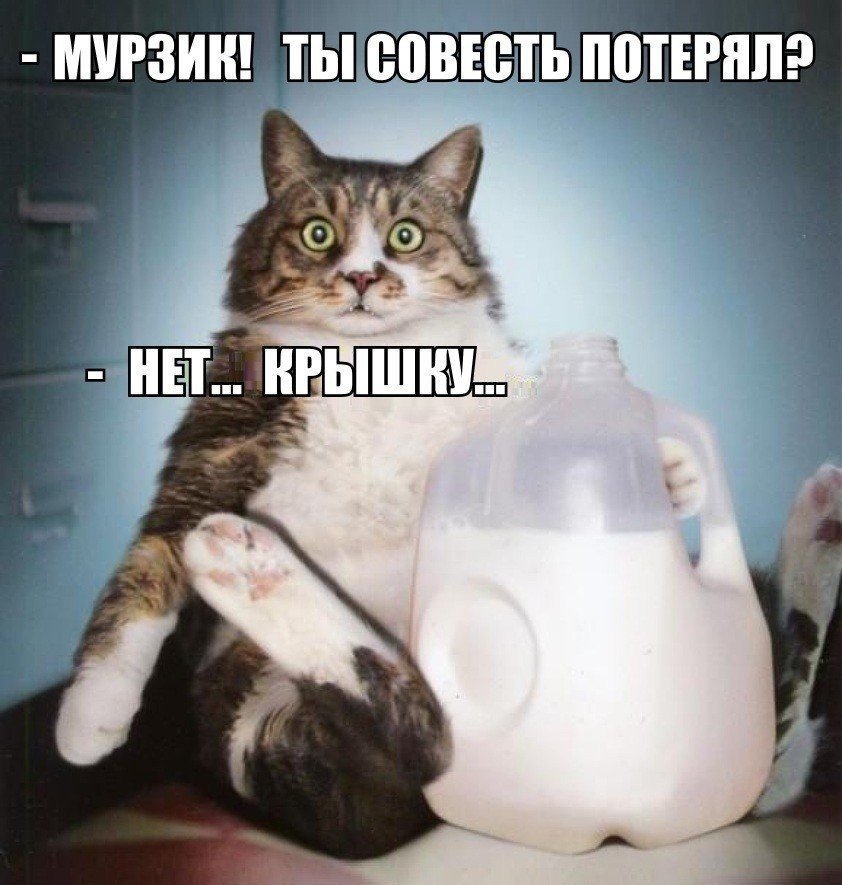 Самое смешное