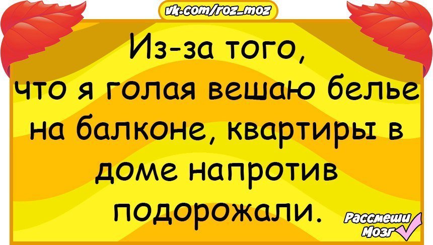 Анекдоты дня