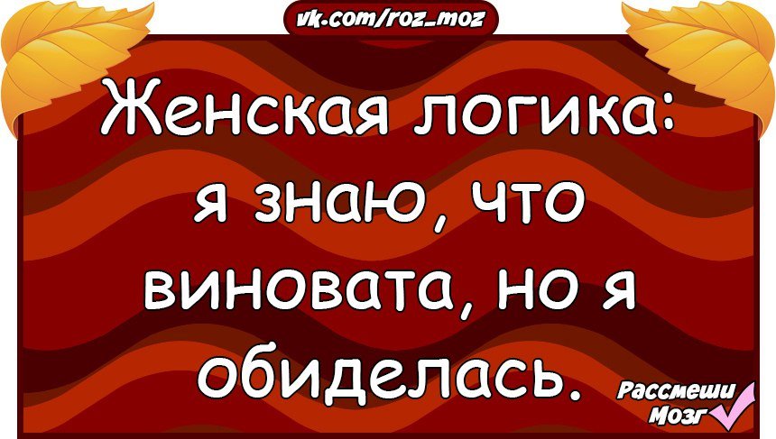 Анекдоты дня