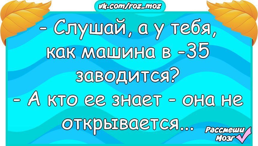 Анекдоты дня
