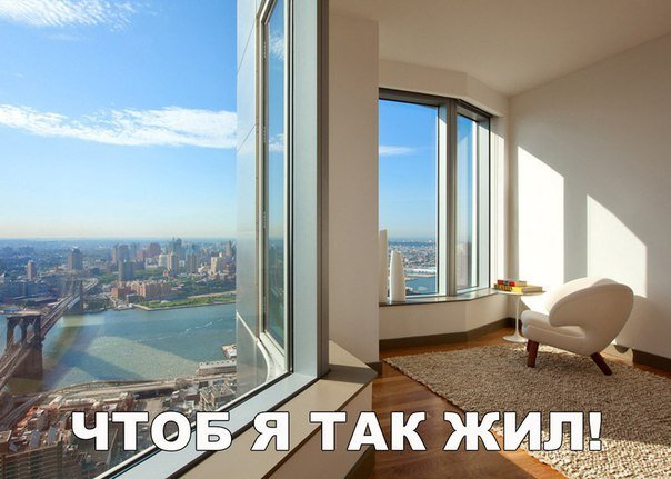 Анекдоты дня