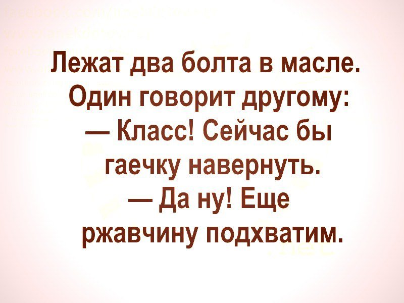 Анекдоты дня