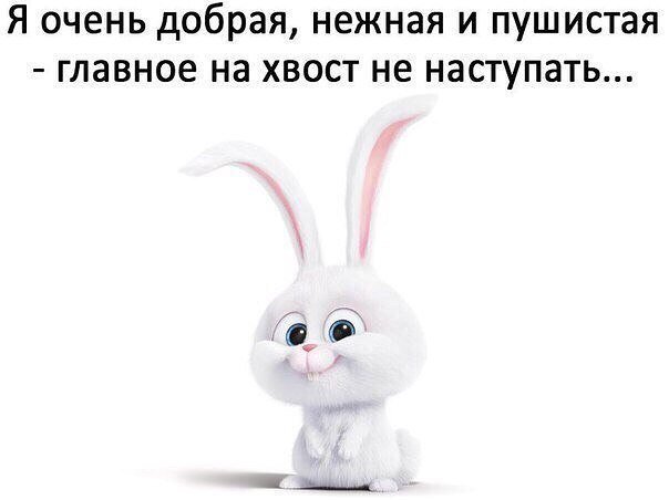 Анекдоты дня