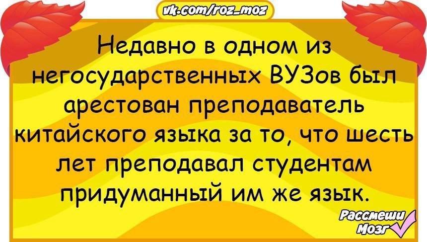 Анекдоты дня