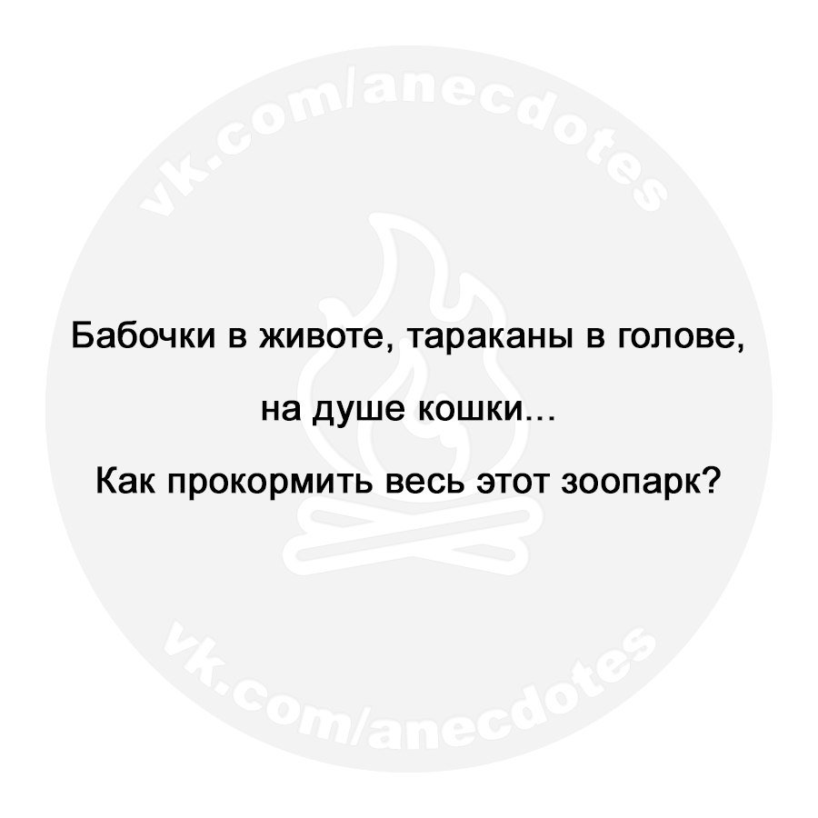 Анекдоты дня