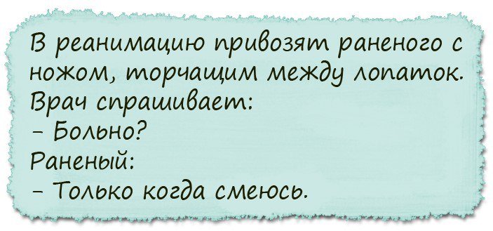Анекдоты дня