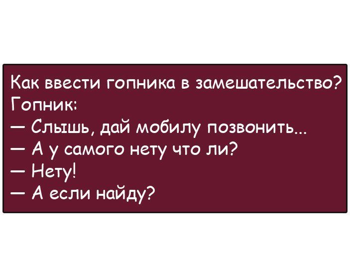 Анекдоты дня