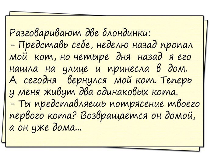 Анекдоты дня