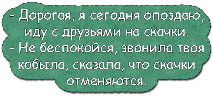 Анекдоты дня