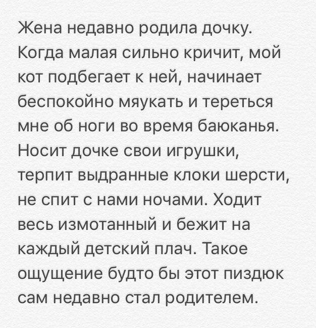 Отличные анекдоты