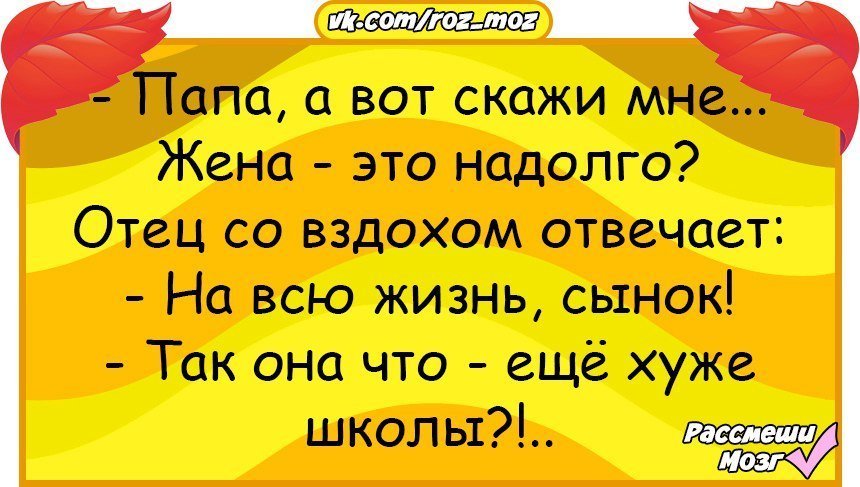 Анекдоты дня
