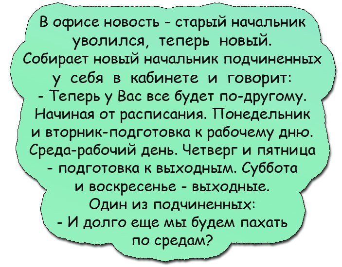 Анекдоты дня