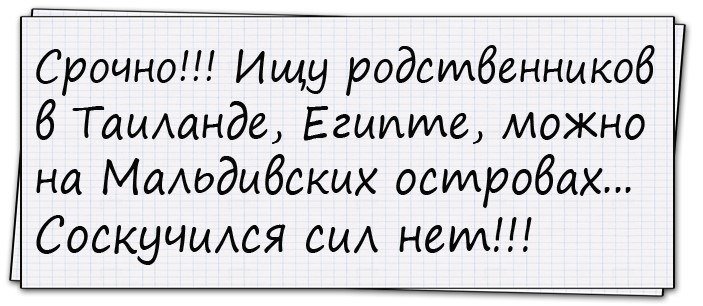 Анекдоты дня