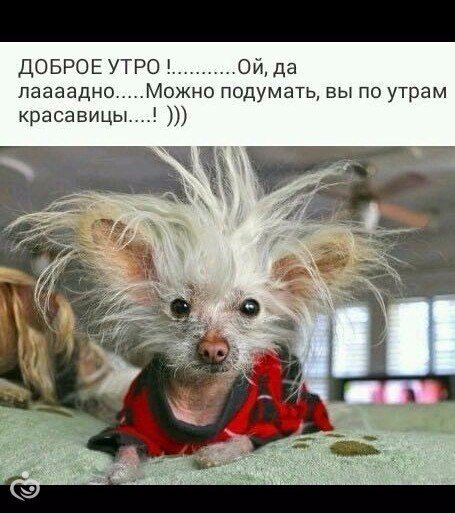 Смешные анекдоты