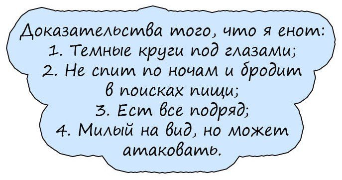 Анекдоты дня