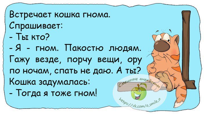 Анекдоты дня