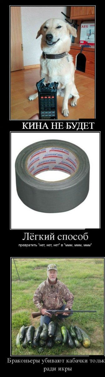 Лучшие анекдоты