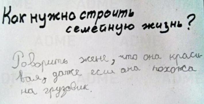 Анекдоты дня