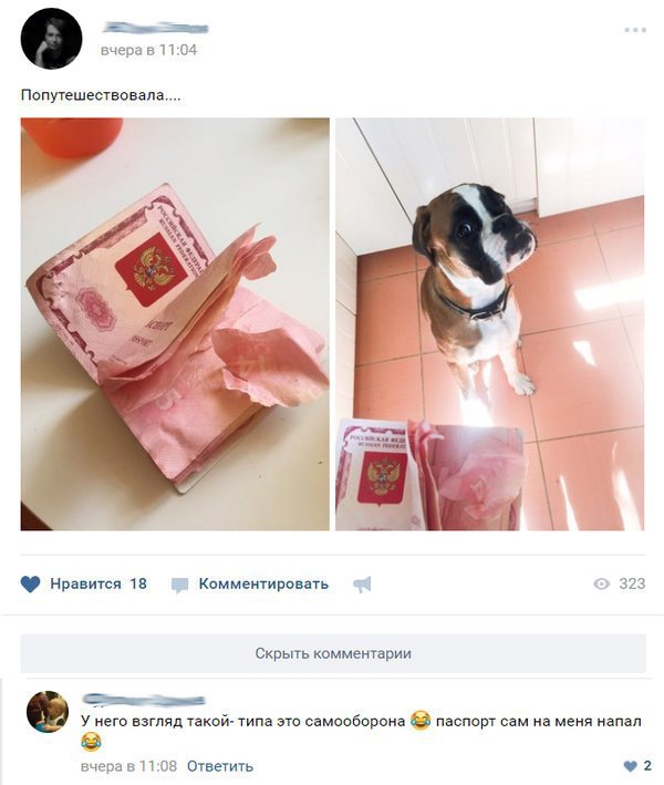 Минутка позитива