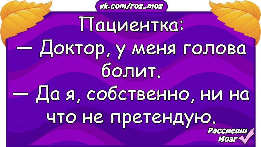 Анекдоты дня