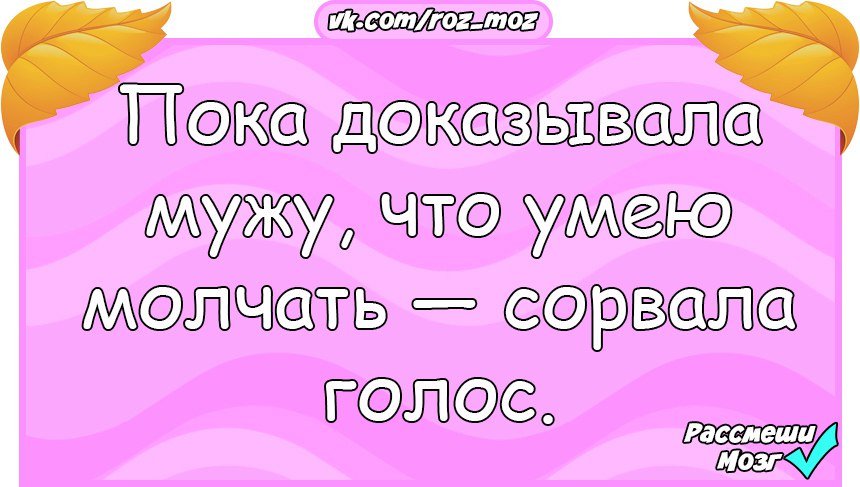 Анекдоты дня
