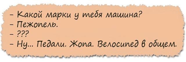 Анекдоты дня