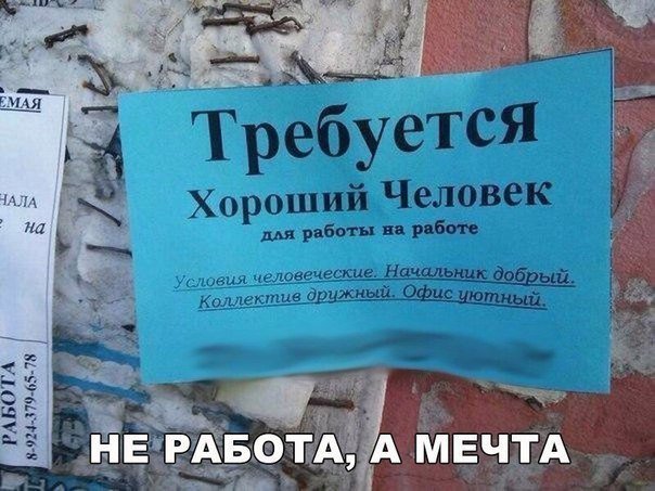 Анекдоты дня
