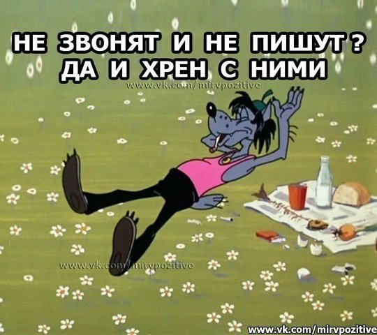 Анекдоты дня