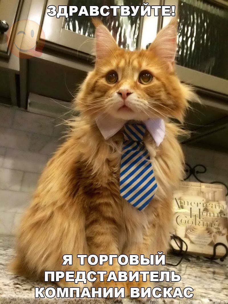 Анекдоты дня