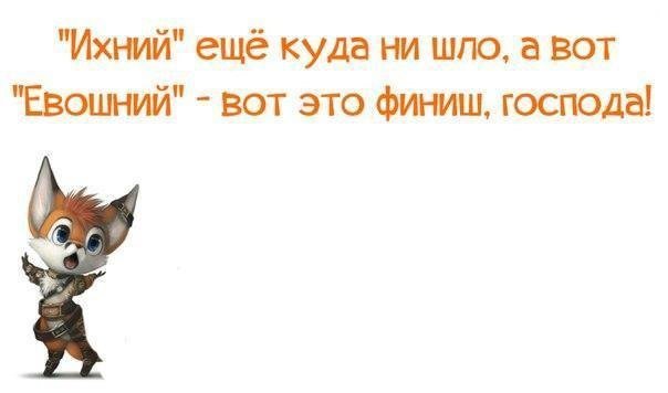 Анекдоты дня