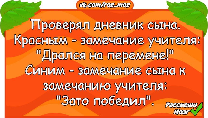 Анекдоты дня