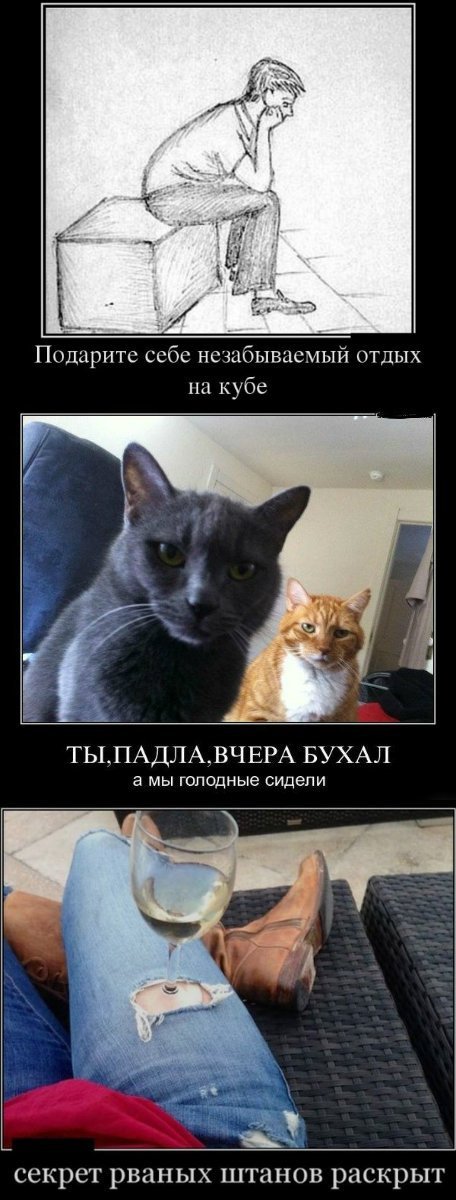 Лучшие анекдоты