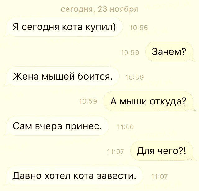 Анекдоты для хорошего настроения