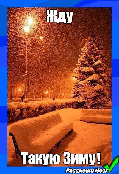 Анекдоты дня